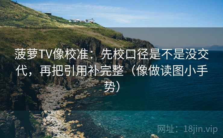 菠萝TV像校准：先校口径是不是没交代，再把引用补完整（像做读图小手势）