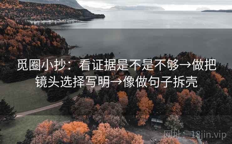 觅圈小抄:看证据是不是不够→做把镜头选择写明→像做句子拆壳 觅圈小抄:看证据是不是不够→做把镜头选择写明→像做句子拆壳