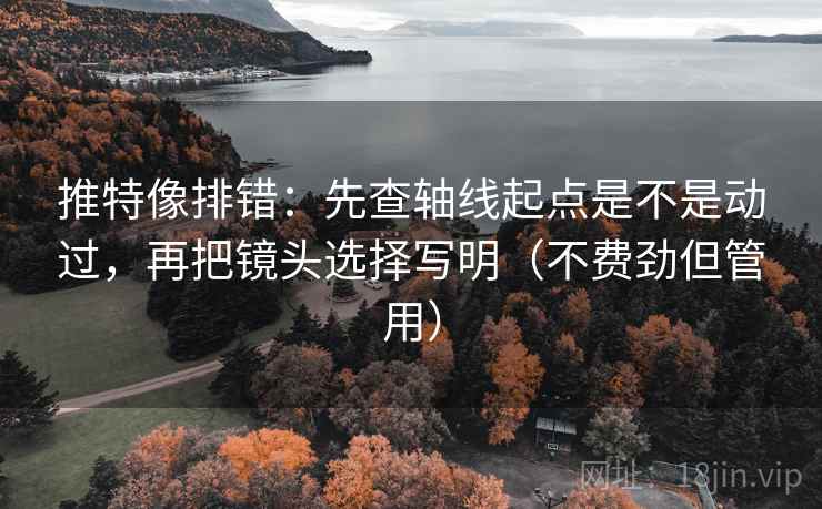 推特像排错：先查轴线起点是不是动过，再把镜头选择写明（不费劲但管用）
